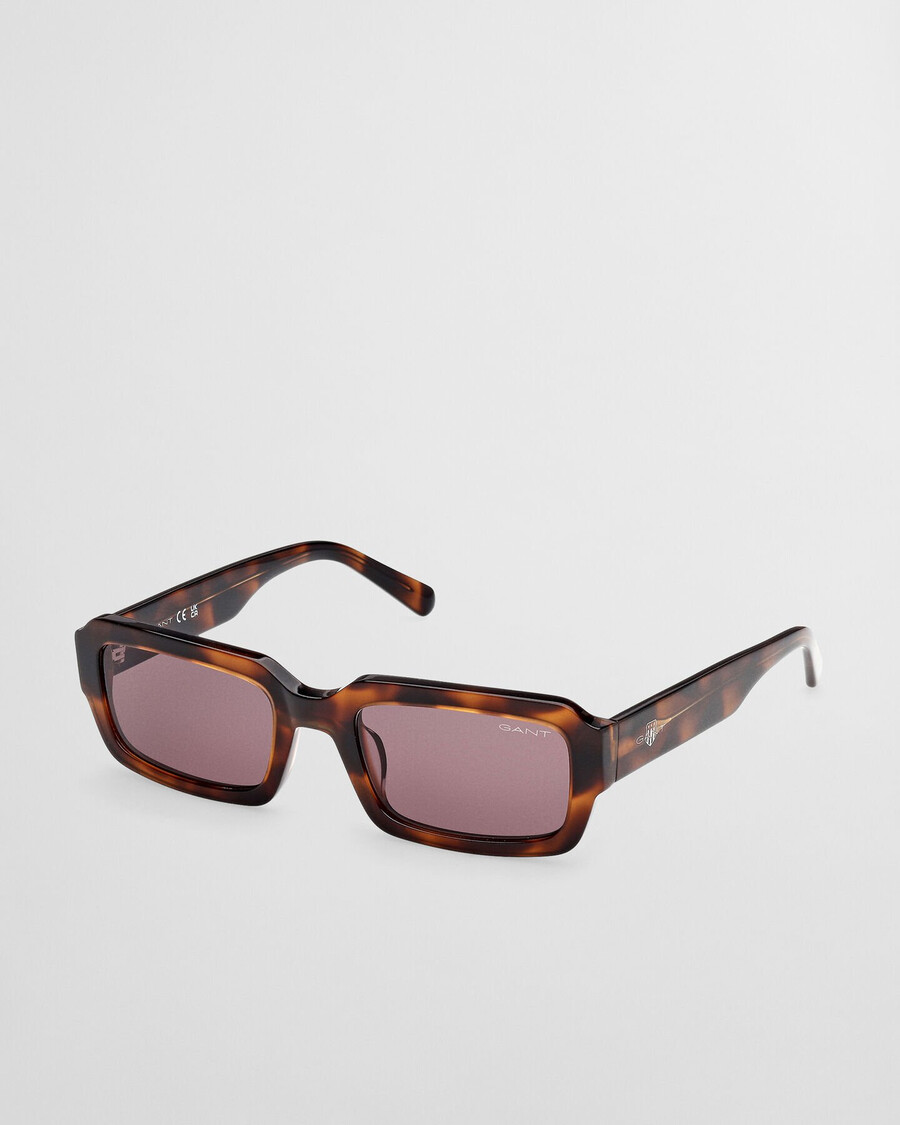 ga00031 sunglasses - dark brown
