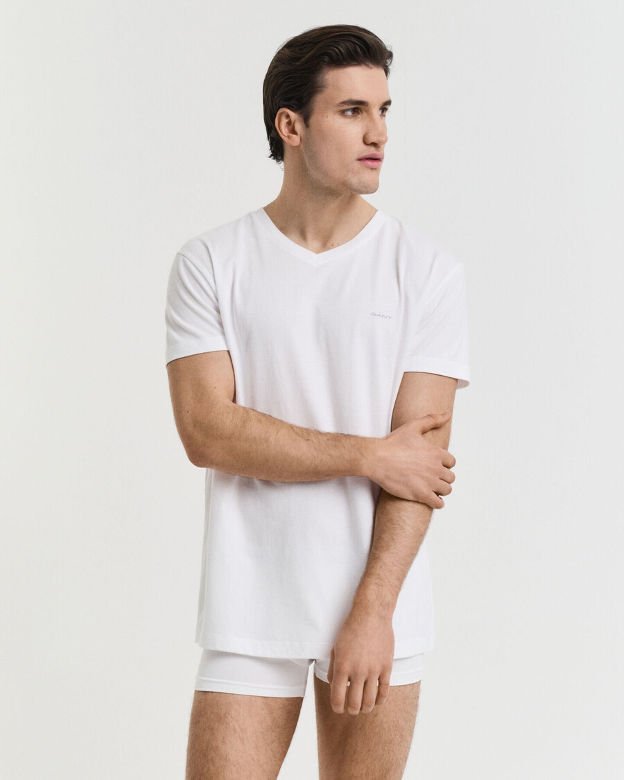 2pack vneck tshirts - white