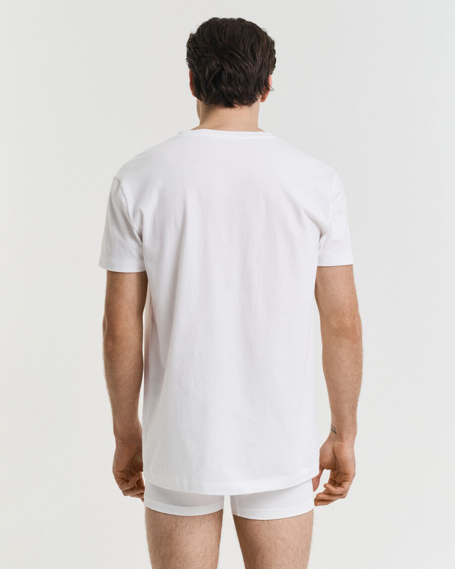 2pack vneck tshirts - white