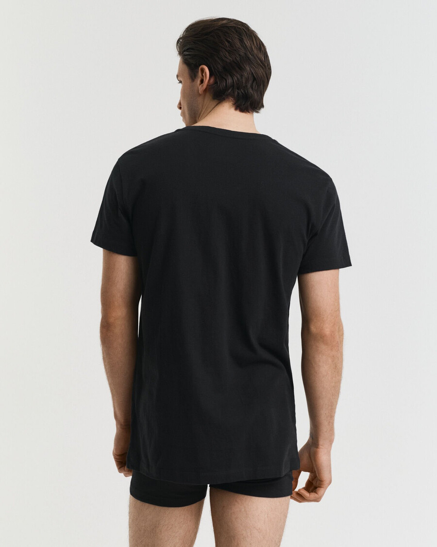 2pack vneck tshirts - black