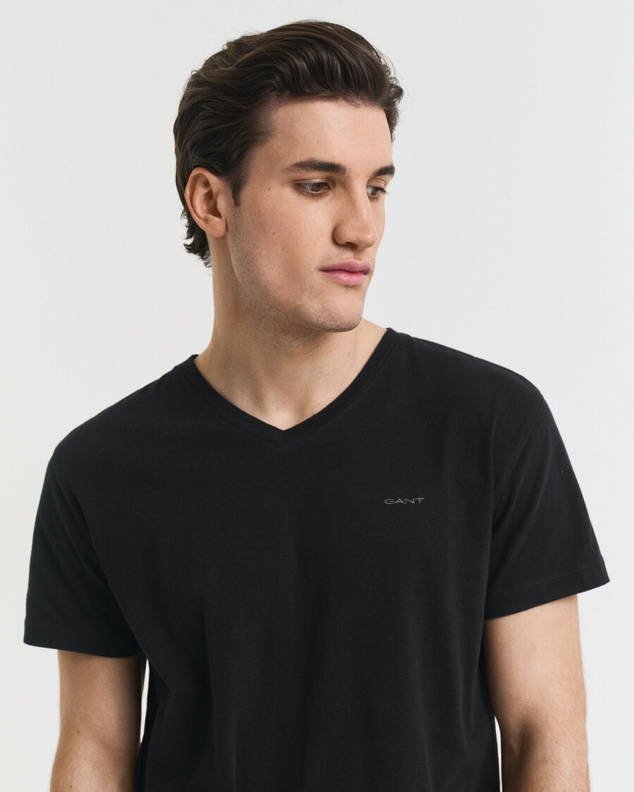 2pack vneck tshirts - black